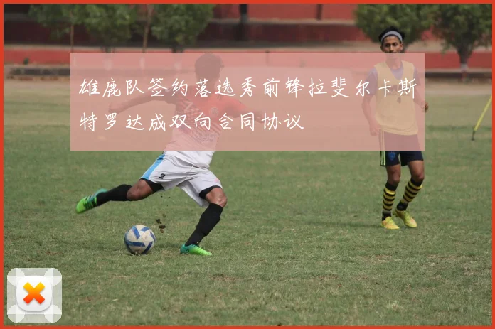 雄鹿队签约落选秀前锋拉斐尔卡斯特罗达成双向合同协议